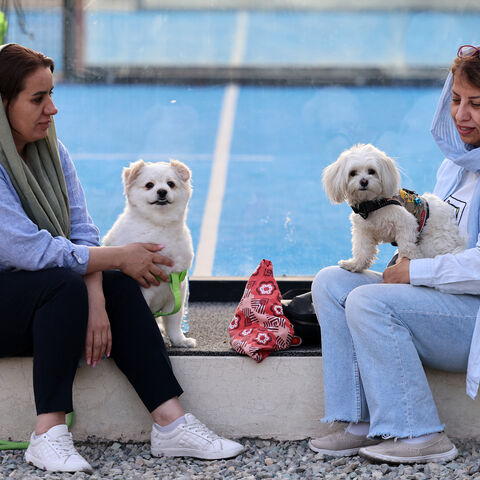 Iranians sit with their dogs in a park in Tehran on June 8, 2025. Iranian authorities have expanded a ban on walking dogs in public to multiple cities nationwide, citing public health, social order and safety concerns, domestic media reported on June 8. Owning and walking dogs has been a contentious topic since the 1979 Islamic revolution in Iran, though there is no law outrightly banning dog ownership. (Photo by ATTA KENARE / AFP) (Photo by ATTA KENARE/AFP via Getty Images)